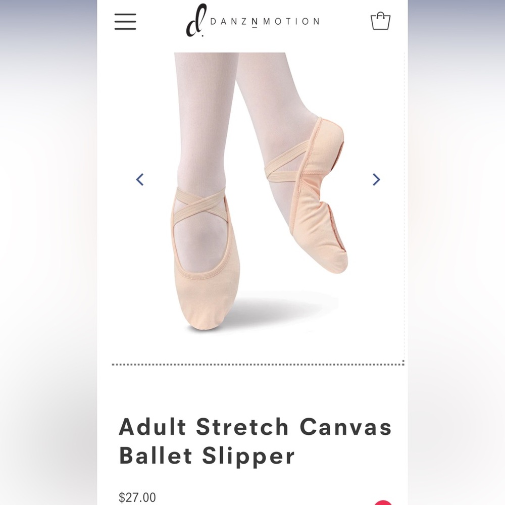 Stretch Canvas Ballet Slippers - Danshuz ~ DanzNMotion